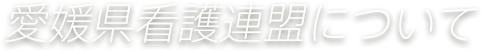 愛媛県看護連盟について